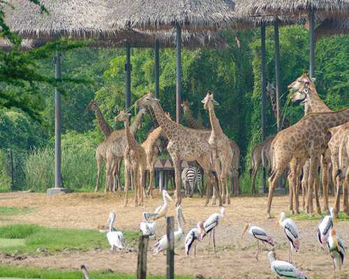国内有代怀孕价格,海口试管比较好的医院行内秘密,热门试管医院推荐